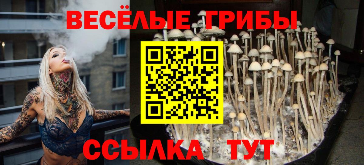 Чита  Галлюциногенные грибы GOLDEN TEACHER  Вход с VPN 